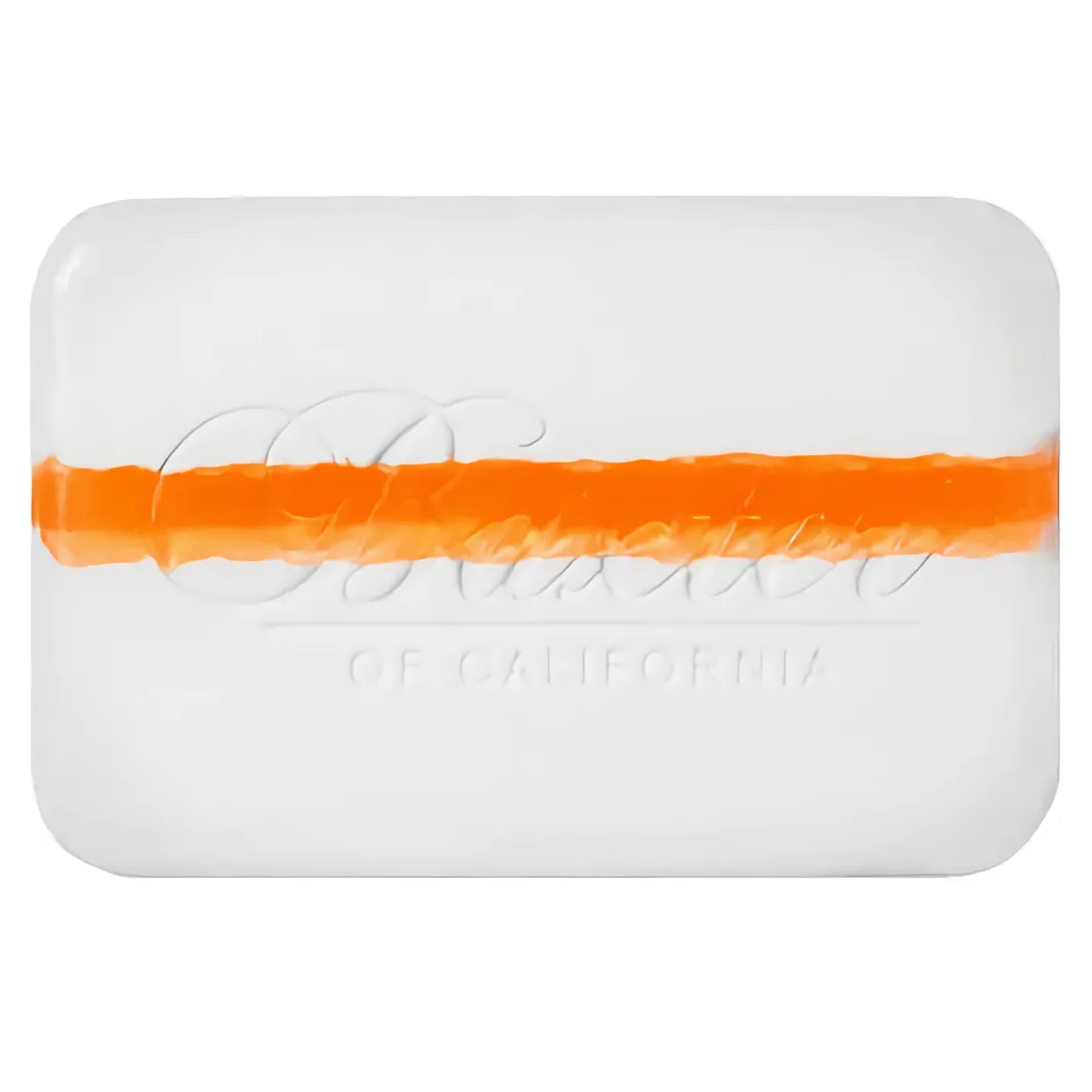 Baxter of California Vitamin Cleansing Bar Citrus & Herbal-Musk