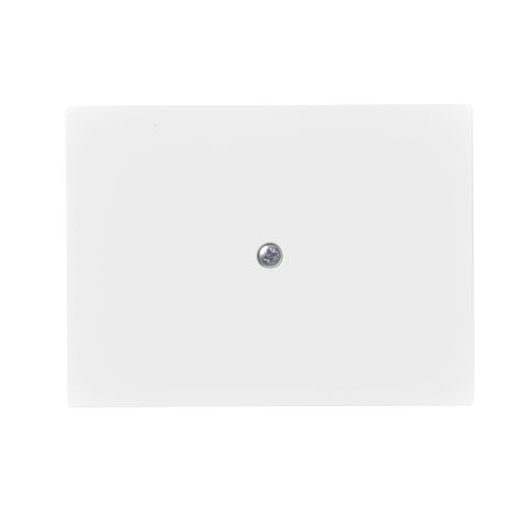 ABB 2538-100-884 Centrumplatta blindlock, vit