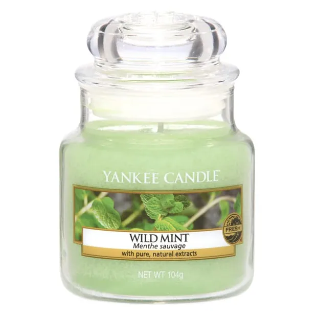Yankee Candle Wild Mint – Small Jar